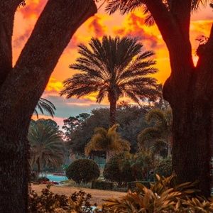 Meet your Posher, Gopi